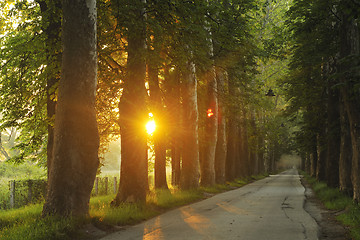 Image showing sunrise in beautiful alley 