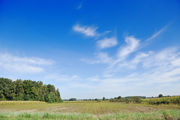 Image showing countrysice nature landscape
