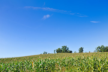 Image showing countrysice nature landscape