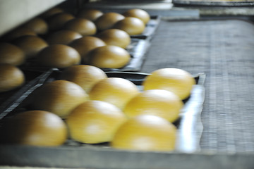 Image showing bread factory production