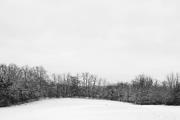 Image showing Snow Landscape #3