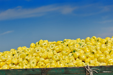 Image showing fresh organic food peppers