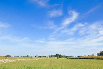 Image showing countrysice nature landscape