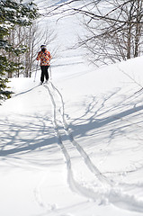 Image showing winer woman ski