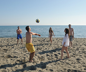 Image showing young people group have fun and play beach volleyball