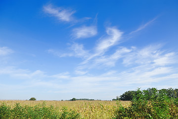 Image showing countrysice nature landscape