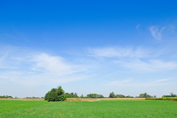 Image showing countrysice nature landscape