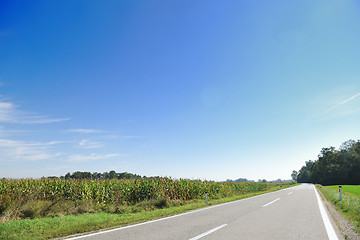 Image showing countrysice nature landscape