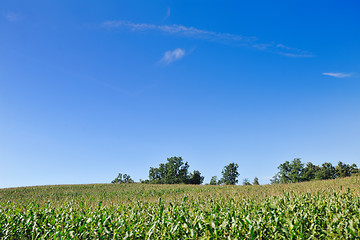 Image showing countrysice nature landscape