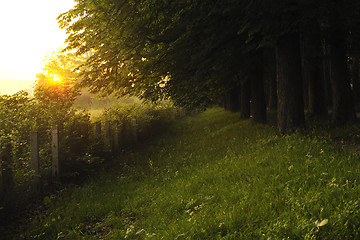 Image showing sunrise in beautiful alley 