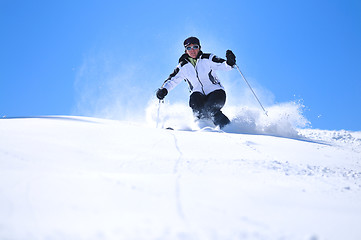 Image showing winer woman ski