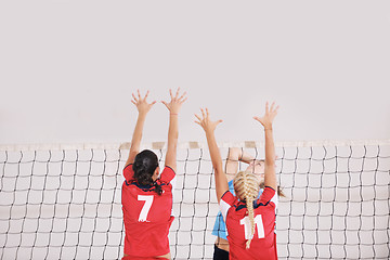 Image showing girls playing volleyball indoor game