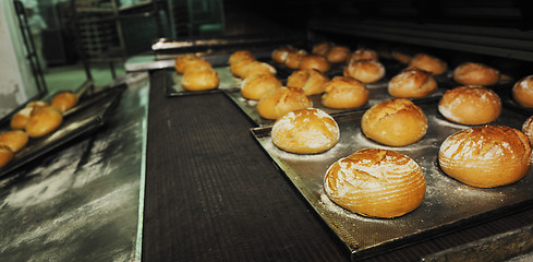 Image showing bread factory production