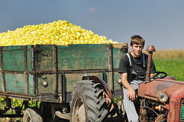 Image showing agriculture worker with fresh vegetables