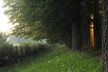 Image showing sunrise in beautiful alley 