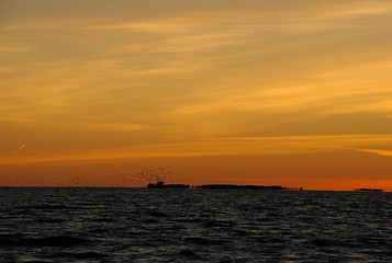 Image showing Seagulls chasing boat