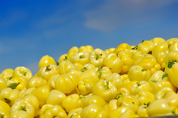 Image showing fresh organic food peppers