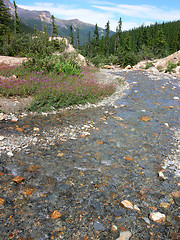 Image showing Mountain Stream