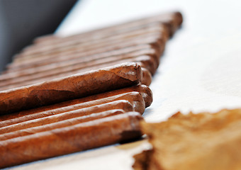 Image showing man making luxury handmade cuban cigare