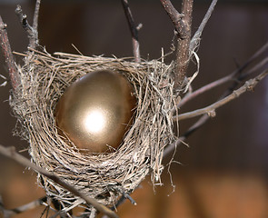 Image showing Nest Egg