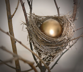 Image showing Nest Egg 2