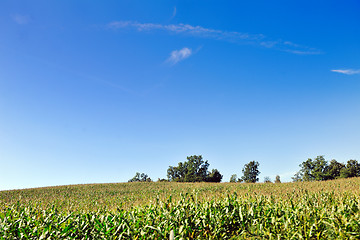 Image showing countrysice nature landscape