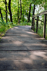 Image showing wooden staircase down nature surround trees grass 