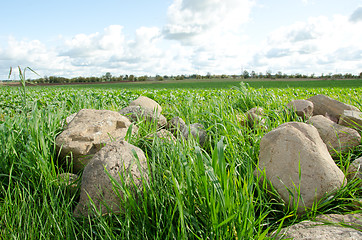 Image showing Big stones picked from agricultural fields and cloudy sky. 