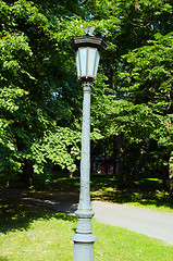 Image showing Retro lighting pole lamp in park and linden trees 