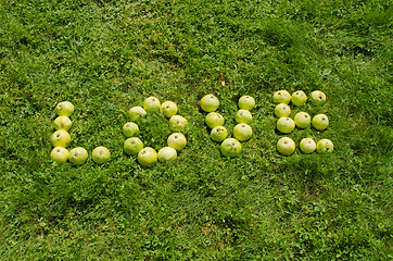 Image showing Word love of green apple on garden lawn 