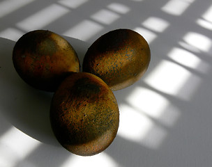 Image showing Rusty Egg Trio
