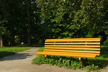 Image showing Yellow wooden park bench lime trees in sunlight 