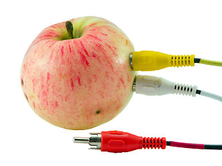 Image showing Tulip audio video wires plugs connected to apple 