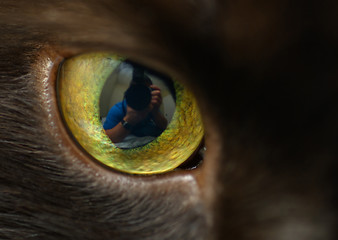 Image showing Photographer Self-Portrait in Cat's Eye