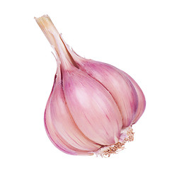 Image showing Fresh garlic