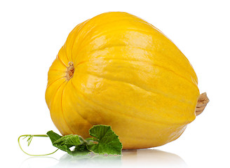 Image showing Fresh pumpkin