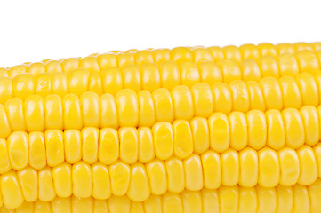 Image showing Fresh corn