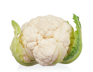 Image showing Fresh cabbage