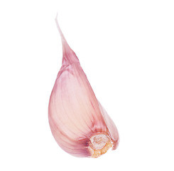 Image showing Fresh garlic