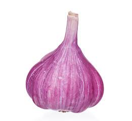 Image showing Fresh garlic