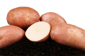 Image showing Potatoes