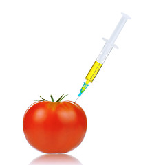 Image showing Genetically modified organism