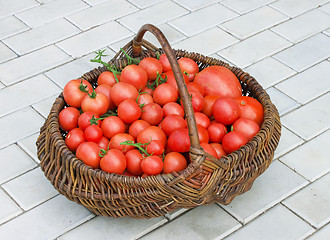 Image showing Old wattled basket filled with tomatoes
