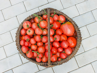 Image showing Old wattled basket filled with tomatoes