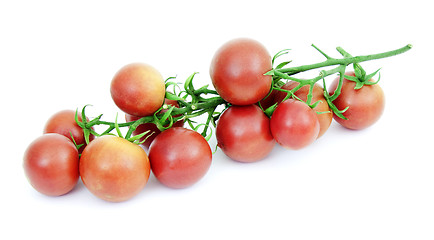 Image showing Tomatoes is on a white background