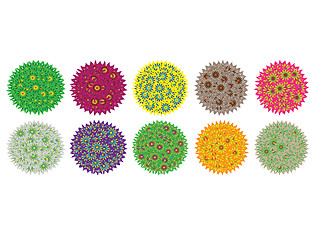 Image showing Flowers spheres