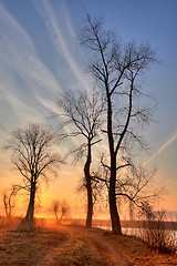 Image showing In the morning mist