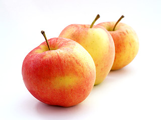 Image showing Apples