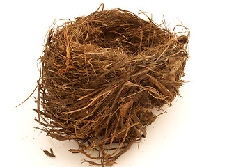 Image showing Birds Nest