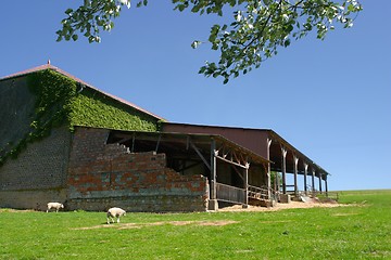 Image showing Farm